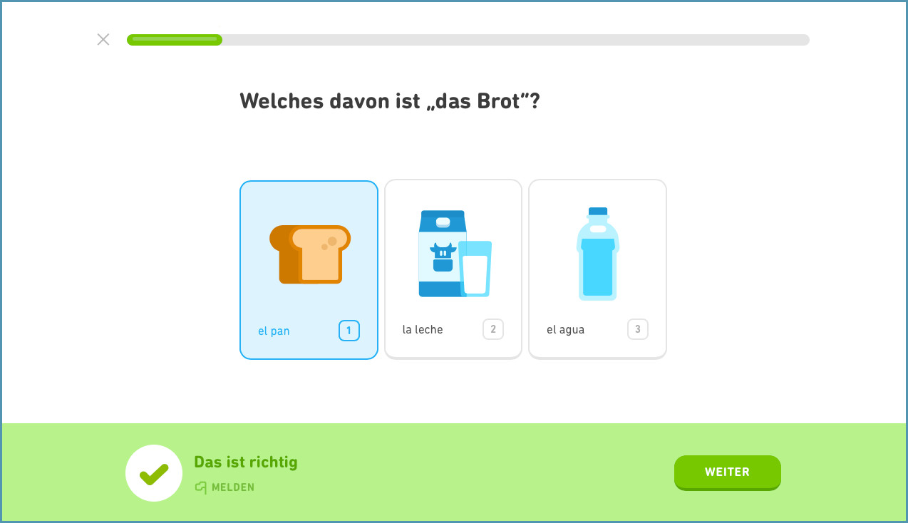 Vokabeln lernen mit Duolingo 